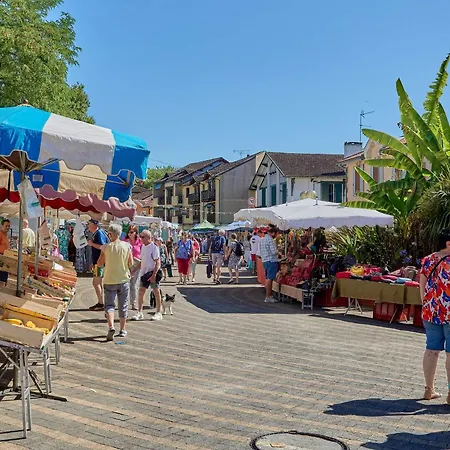 Lejlighed T1 Bis Avec Wifi Et Parking, Animaux Admis, Calme A - Fr-1-841-17 Barbotan-les-Thermes