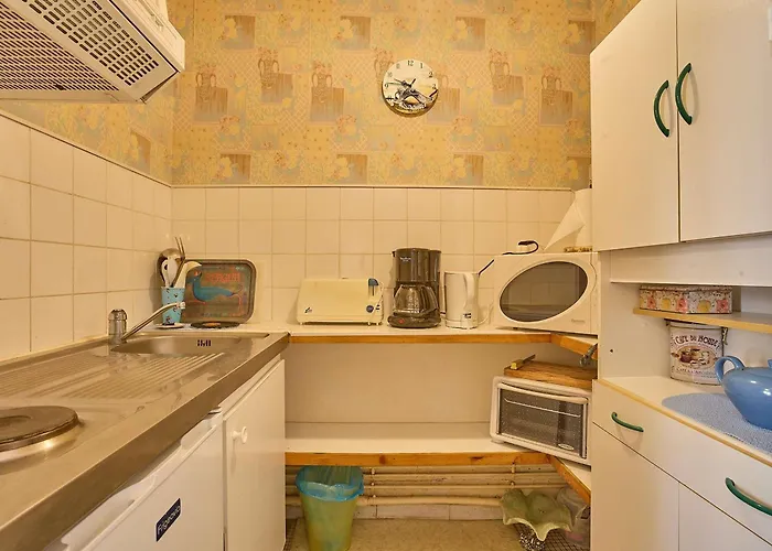 T1 Bis Avec Wifi Et Parking, Animaux Admis, Calme A - Fr-1-841-17 * Barbotan-les-Thermes