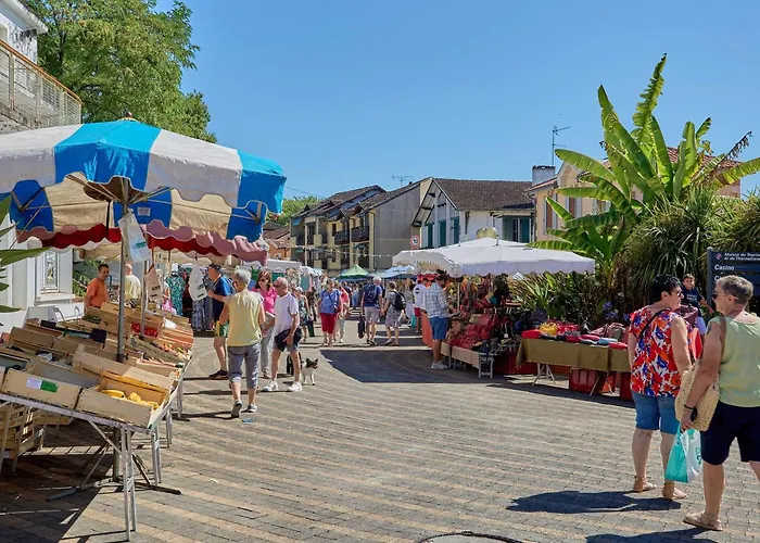 Apartamento T1 Bis Avec Wifi Et Parking, Animaux Admis, Calme A - Fr-1-841-17 Barbotan-les-Thermes