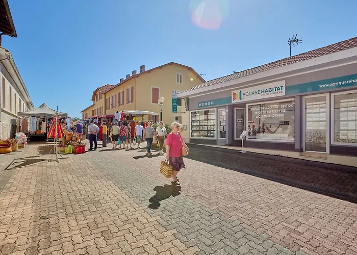 Apartamento T1 Bis Avec Wifi Et Parking, Animaux Admis, Calme A - Fr-1-841-17 Barbotan-les-Thermes